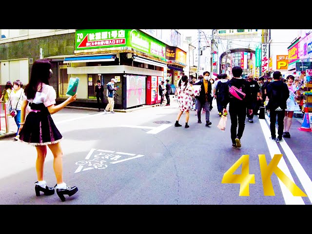 [Akihabara Walk in Tokyo] Moe Moe Kyun Kyun Street Walk ♪ (4K ASMR Nonstop 1 hour 01 minutes)