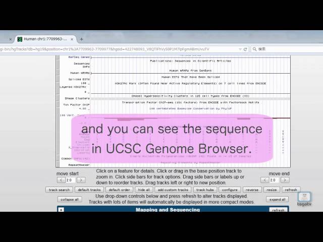 GGGenome: a fast and simple DNA sequence search engine