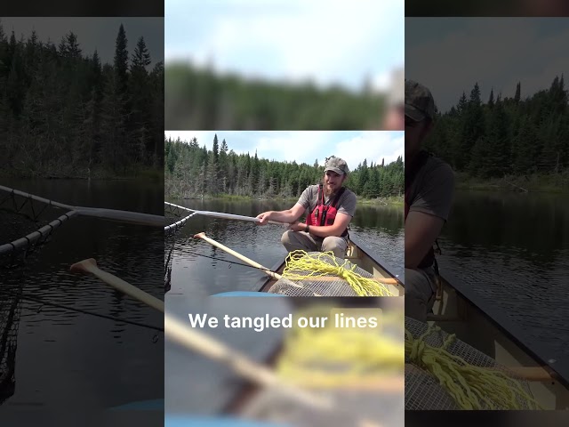 Most people don't know this about survival.