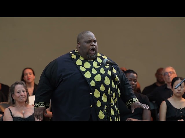 Nessun Dorma | Limmie Pulliam