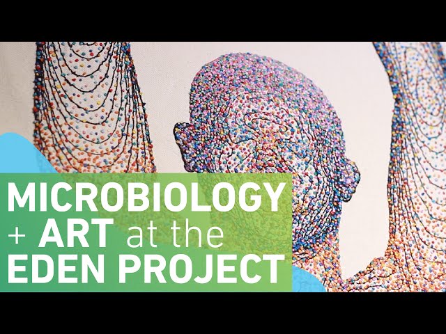 Invisible You: Art and Microbiology at the Eden Project