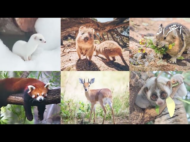 Namaz Parhtay Larky Main Jin Aagya Phir Kya Huw   Rahbar TV