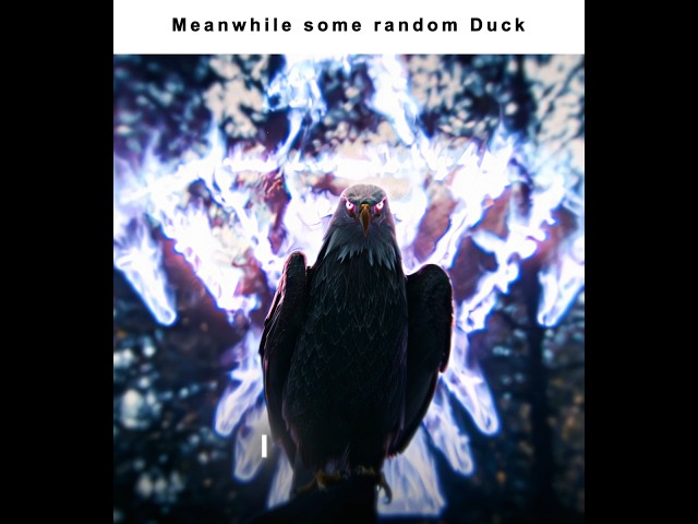 This duck is really cold | Eagly "Peacemaker" edit | MONTAGEM DIREÇÃO (Slowed & Reverb)