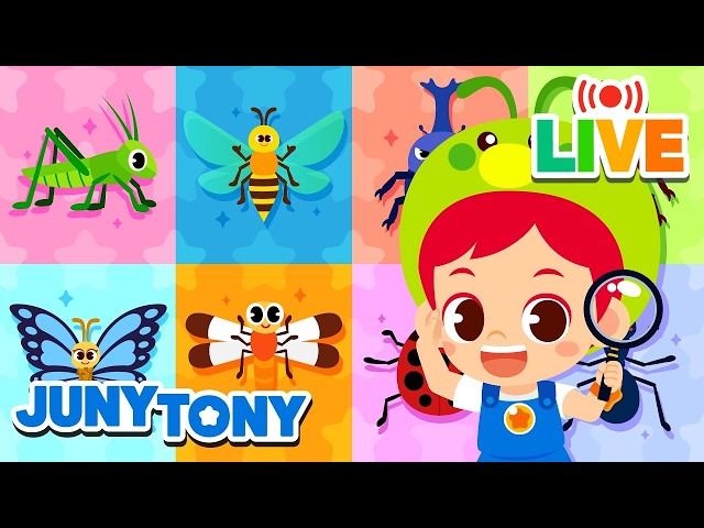 🔴JunyTony LIVE | It's a Bug's World | Small But Mighty Insects | Bugs Songs Compilation | JunyTony