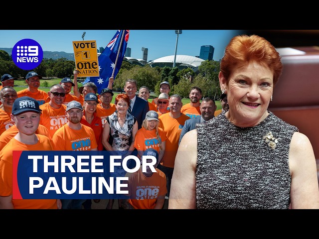One Nation claims third South Australian seat | 9 News Australia