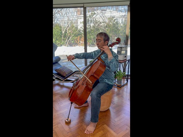 Bach Wrote a Cavatina