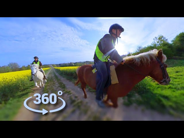 Raps-Galopp - 360 VR Video