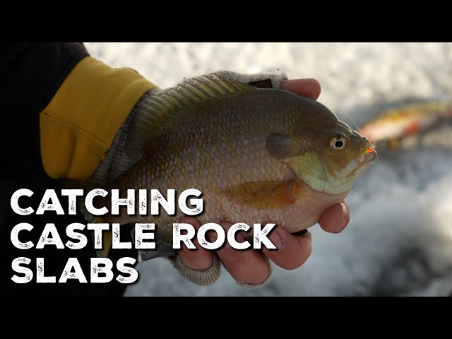Panfish Madness on Castle Rock | Bluegills, Crappies & White Bass