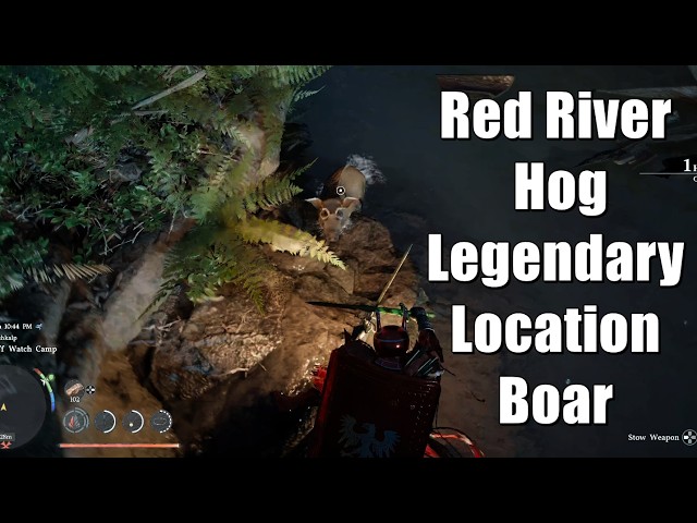 Crimson Desert – Red River Hog Legendary Location Boar