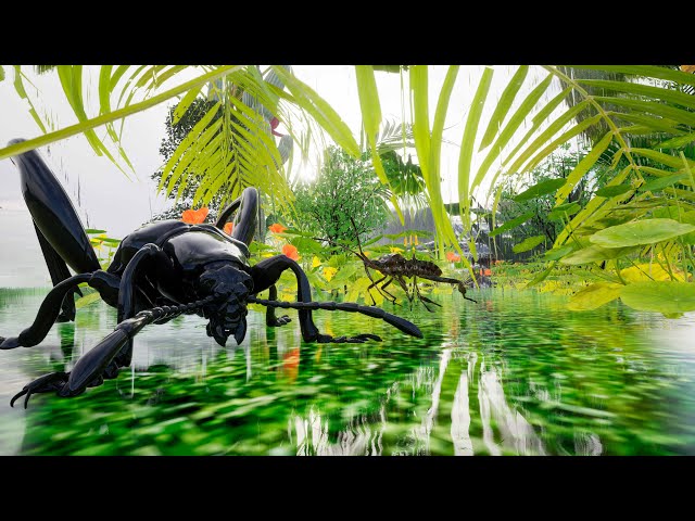 360 VR  bugs Virtual Reality (8k)