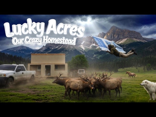 Our Crazy Homestead: Wild Animals, a Blind Horse, and a Massive Tiny House