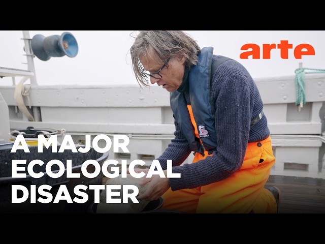 Plastic and Marine Life: An Uneasy Coexistence | ARTE.tv Documentary