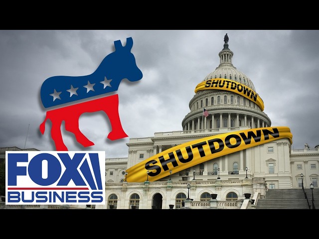 'IRRESPONSIBLE AND DISGRACEFUL': GOP lawmaker blasts Democrats' reluctance to fund DHS