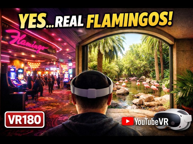 Experience Flamingo Las Vegas in 6K VR180 | Full Casino Tour