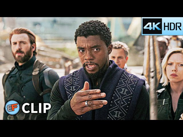 Avengers Arrive in Wakanda Scene | Avengers Infinity War (2018) IMAX 4K HDR Movie Clip
