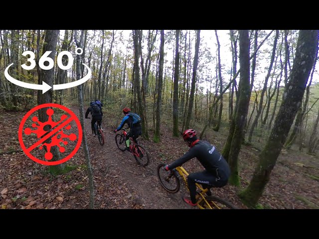 360° VR Experience #3 - The Woods - ( Third Week Containment/ Third 360 )