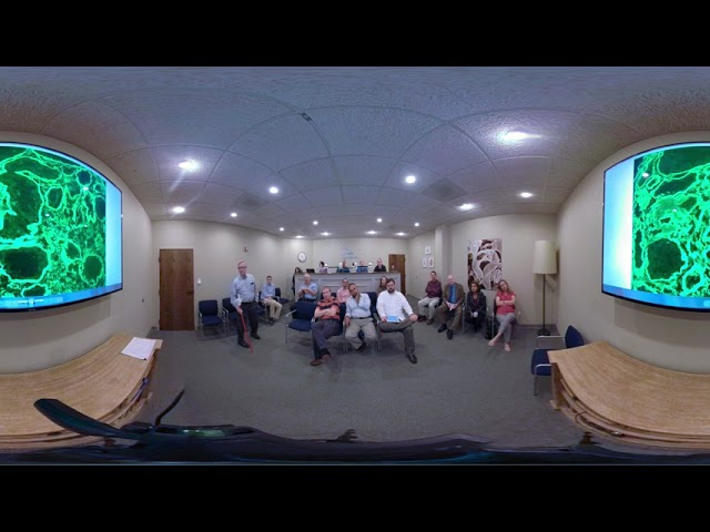 Light Chain Deposition Disease