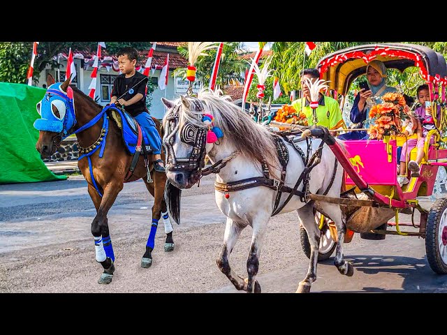 SPECIAL DELMA RIDE | HORSE | DELMAN - HORSE