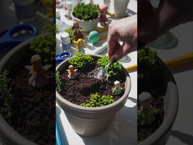 ✨DIY Miniature Fairy Garden! 🏡 EASY Step-by-Step Tutorial for Beginners! ✨ (Magical & Affordable!)
