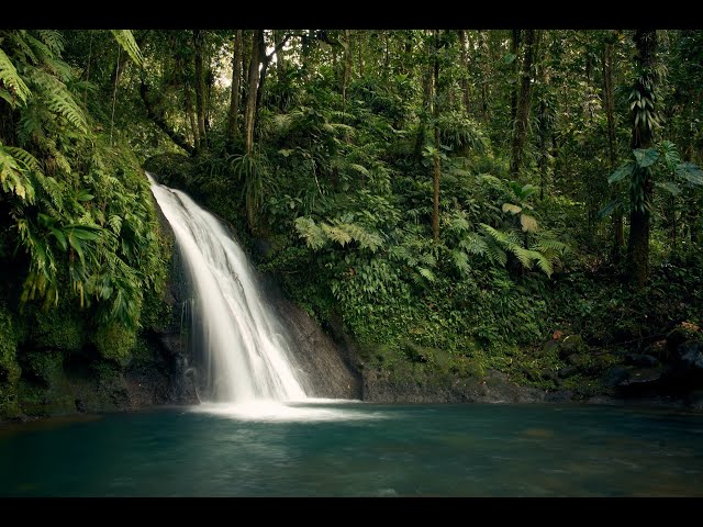 Waterfall in the woods | Soothing and Relaxing White Noise | 10 Hours White Noise
