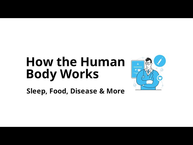 How the Human Body Works: Sleep, Food, Disease, Aging, and Survival (Fully Explained)