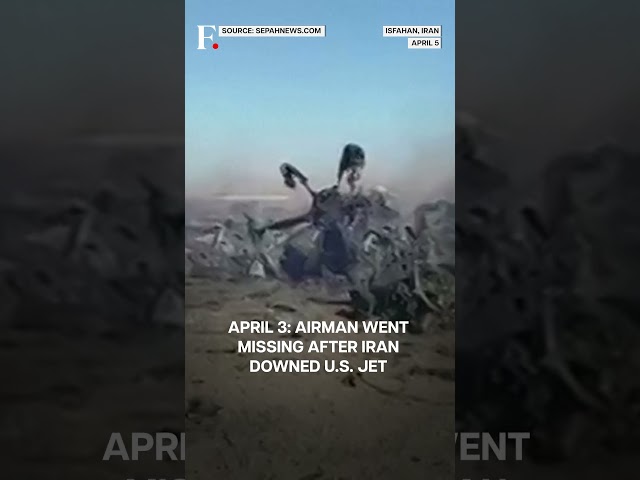 Trump Hails 'Daring' Rescue of US Jet Crew Officer From Iran | N18G