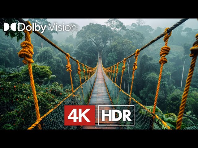 Majestic HDR 4K 60 FPS - Dolby Vision (4K Video)