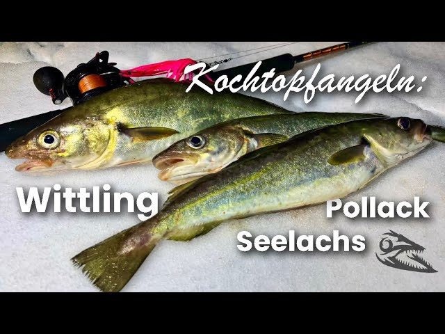 Wittling vs. Pollack - Kochtopfangeln