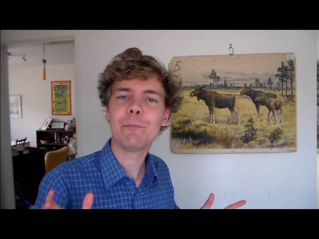 Pupa, cocoon, chrysalis - what's what in insect development?