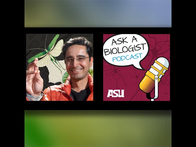 From Cicadas to Centrifuges - The Frugal Science Revolution