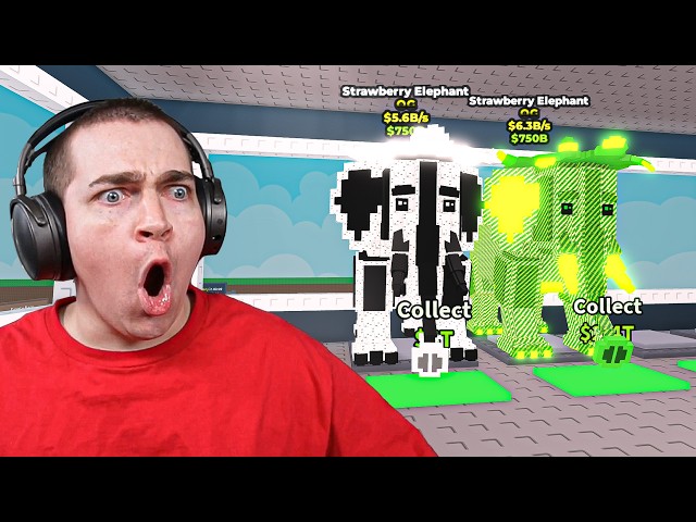 GAMBLING ALL MY MONEY AWAY