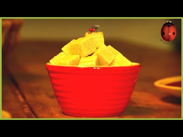 He Who Laughs Last, laughs Longest | Minuscule