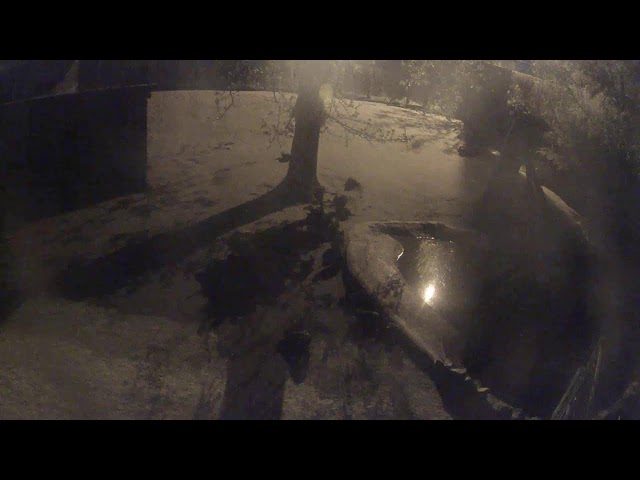 Állatkert Budapest szívében - Dél-Amerika kifutó ÉLŐ