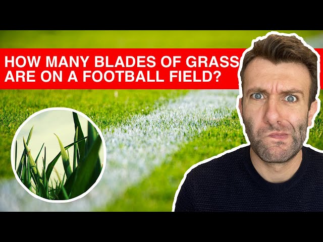 How To Answer Complex Questions IN SECONDS! (Fermi Estimates)