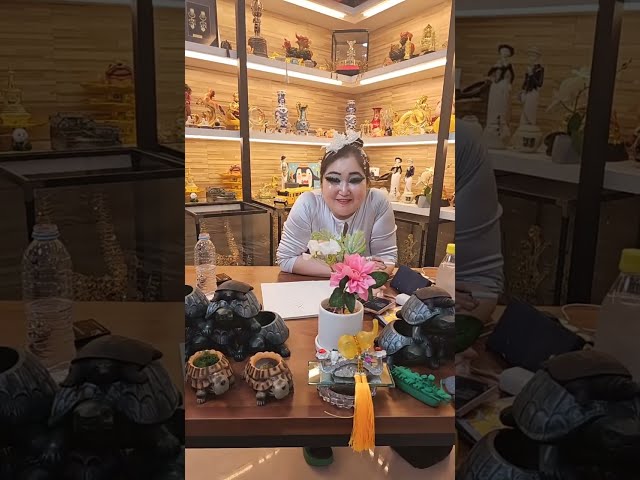 만산월 라이브 시작합니다.25년10월29일