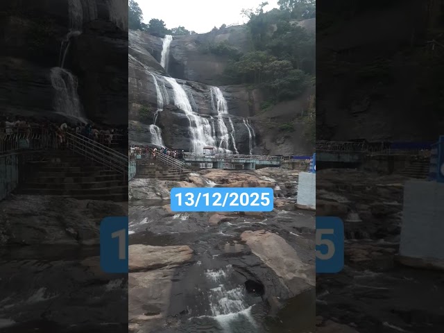 Courtallam live today | Main falls #courtallam #kutralam #live