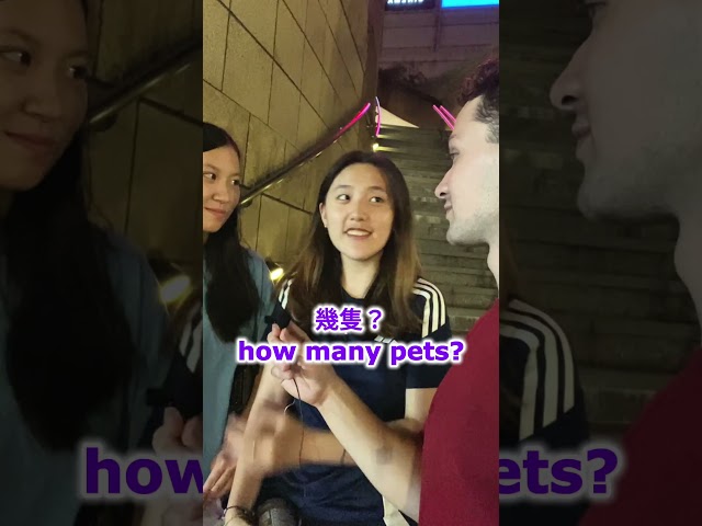 Interviewing Strangers in Chinese until I'm Fluent in Chinese (Day 15)