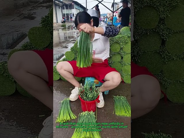 Garlic Scape Sorter: Quick Root Separation Hack!