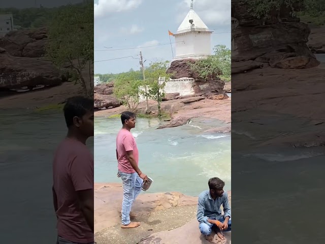 Allu Arjun  #nature #naturelovers #shorts #short #shortsfeed #alluarjun #alluarjunstatus #ytshorts