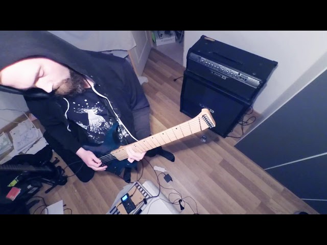 Primus - Mr Krinkle  (lazy minimalistic cover)