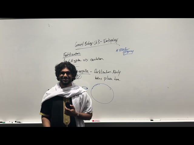 2025-2026 MCAT General Biology, Chapter 3- Embryology (Part 1)