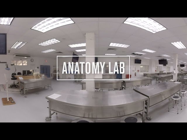 Anatomy Lab | Ross University School of Veterinary Medicine