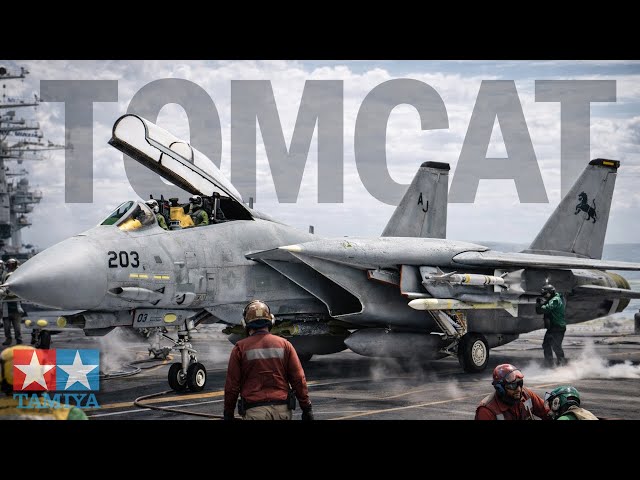 Tamiya's Brand New 1/72 F-14D | Full Build | 4K