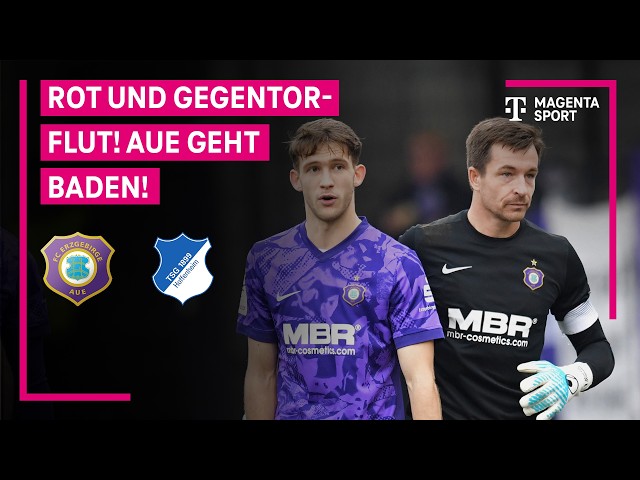 FC Erzgebirge Aue - TSG Hoffenheim II, Highlights with Live Commentary | 3. Liga | MAGENTA SPORT