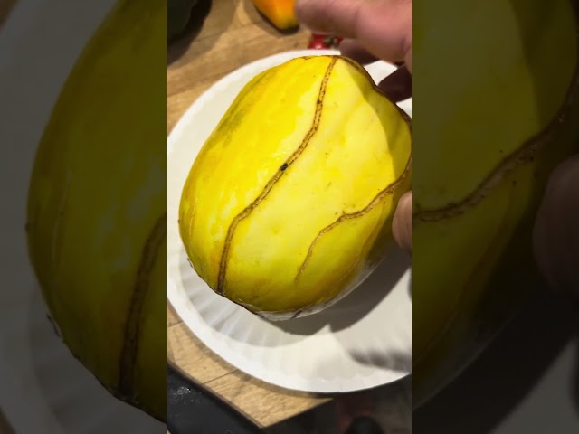 Tiger melon taste test retake #garden #homestead