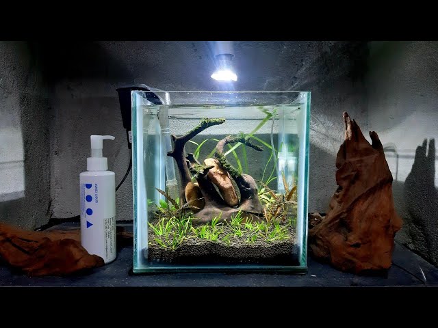20 cm planted nano tank #ada dooa fertilizer. Ada version 2 soil.