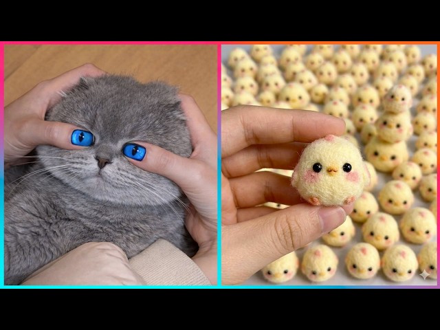 Creative Pet-Inspired Ideas That Are At Another Level ▶ 7