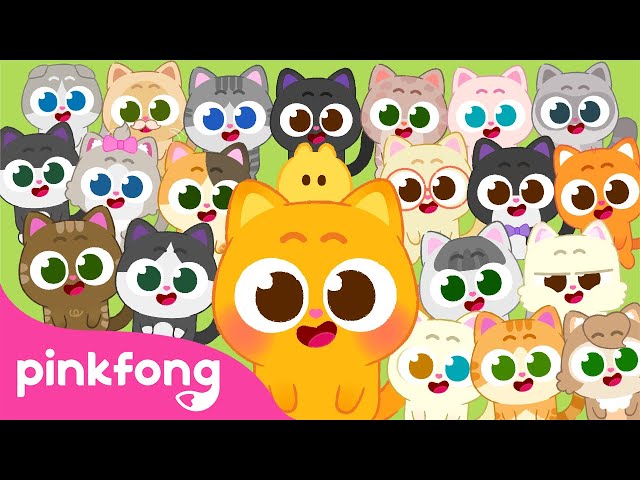 [✨ Ninimo Special] 100 Little Ninimos⁉️ | Cat Song | Meow Meow | Pinkfong Official