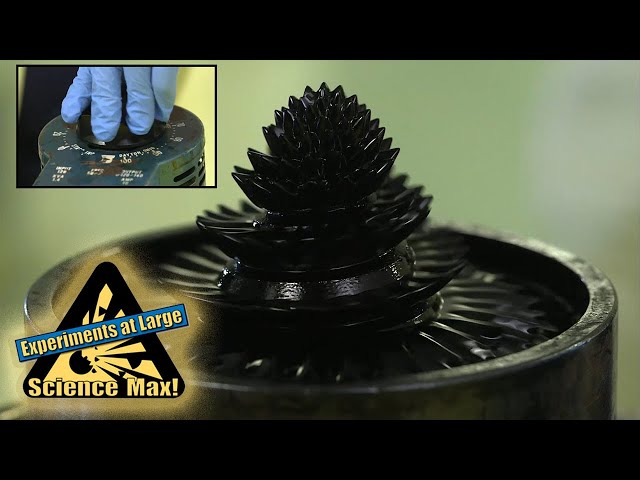 Science Max | MAGNETS | Experiments