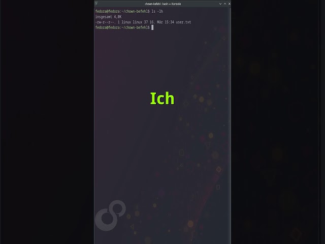 Linux Terminal Command: chown – How to Change Owners & Groups Properly!